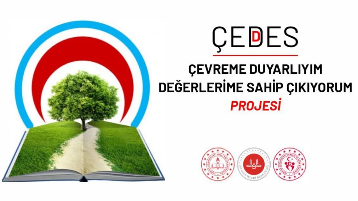 Çedes Projesi Etkinlikleri